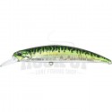 AHA0263 Green Mackerel