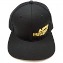 Big Bass Dreams Logo Classic Snapback Black Gold
