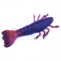 010 DRT Craw
