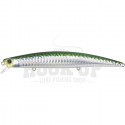AHA0109 Caballa