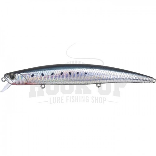 GHN0094 Sardina Shigomori