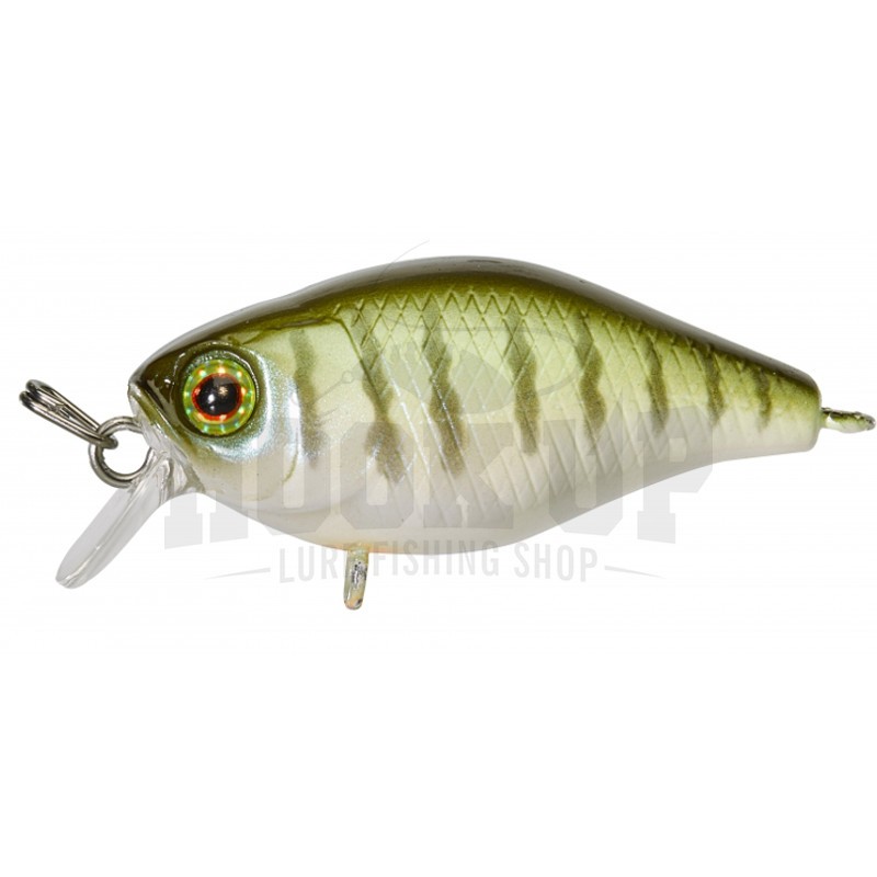 Illex Chubby 38 - Photo 26/44
