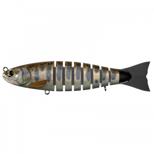 Biwaa S Trout 6.5