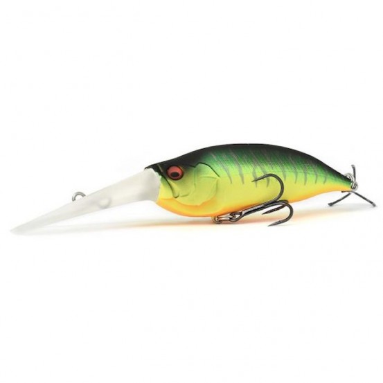 Megabass IXI Shad TX