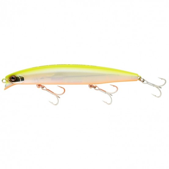 Daiwa Shoreline Shiner Z Vertice 120 F