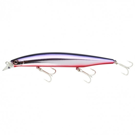 Daiwa Shoreline Shiner Z Vertice 140 F