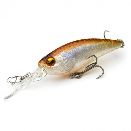 Raid Japan Level Shad