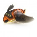 Megabass Escarabajo X Hover Crawler