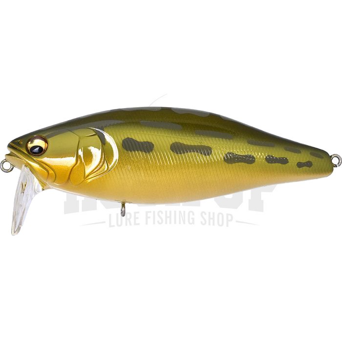 Megabass i Jack - Photo 37/53