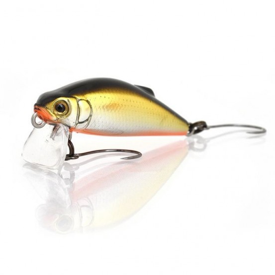 Tackle House Buffet SF 38