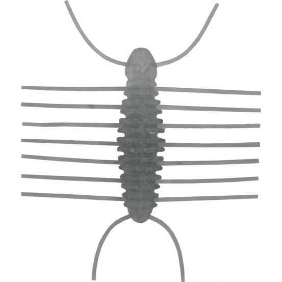 Imakatsu Miharamushi 4cm 379