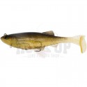206 Golden Shiner