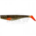 Carpa dorada