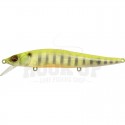 GP See Through Chart Gill (SP-C)