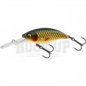 Dream Bream