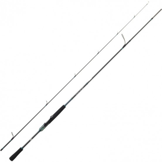 Daiwa Saltist AGS Rock Fishing