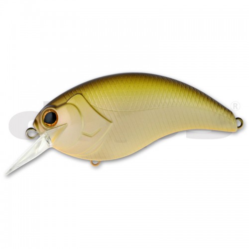 03 Horizon Shad