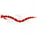 Bloodworm