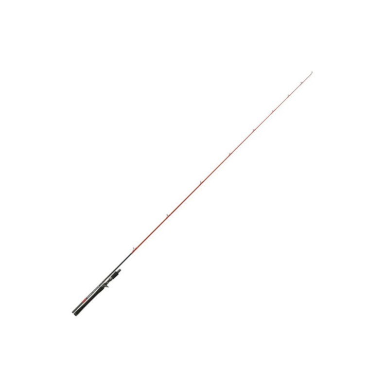 Tenryu Injection BC 71 H