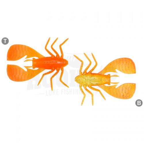 ORANGE BACK CHART