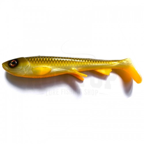 WC012 OLIVA DORADO