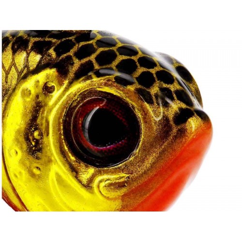 Westin DropBite Tungsteno Spin Tail Jig 1,8cm 9g