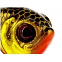Westin DropBite Tungsteno Spin Tail Jig 1,8cm 9g