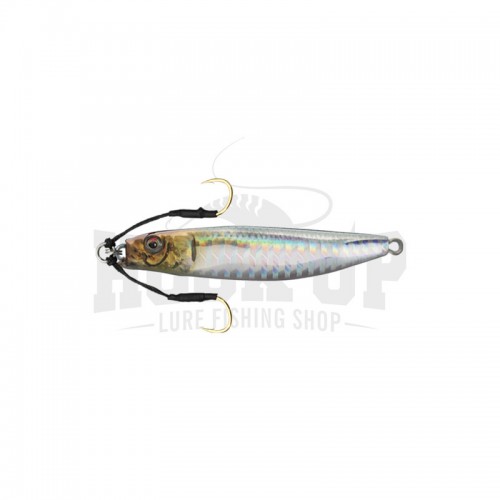 06 Hypoatherina Vale RP [12G]