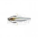 06 Hypoatherina Vale RP [12G]