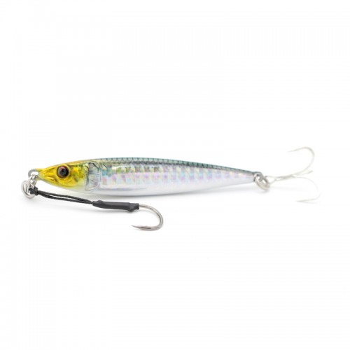 02 Sardina RP Flash [40G]