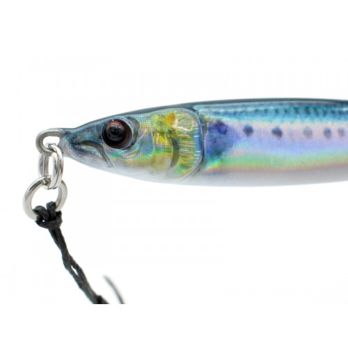 Little Jack Metal Addict Tipo 02