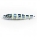 07 CEBRA BRILLO IWASHI [200G]