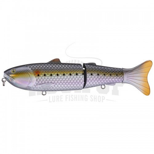 Sardines