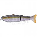 Sardines
