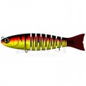 14 Red Tiger