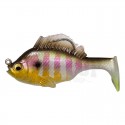 GILL [21gr]