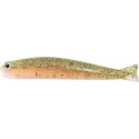 061 Rainbow Trout