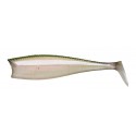 Anguila secreta