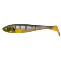 Blue Gill