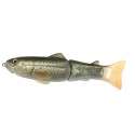 Trout [Limited]