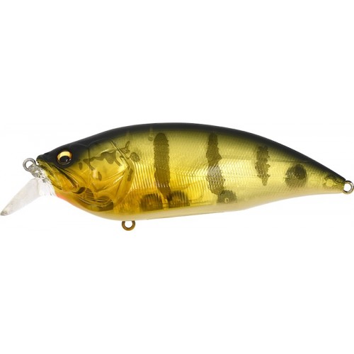 GP PRO PERCH ( SP-C )