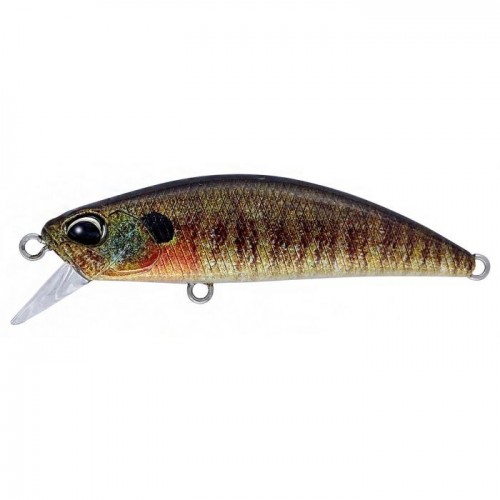 CCC3357 TRUE GILL (UF)