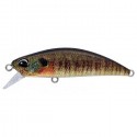 CCC3357 TRUE GILL (UF)