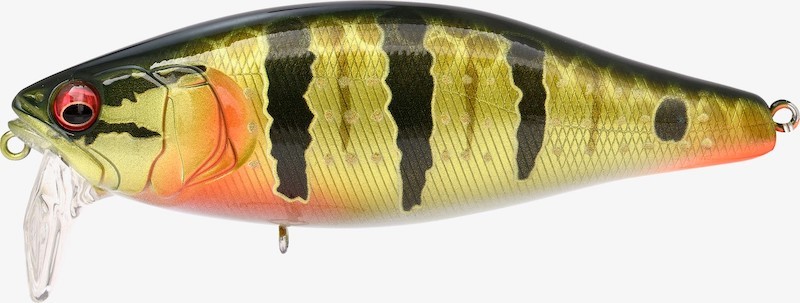 Megabass i Jack - Photo 41/53