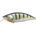 GG RED FIN PERCH (SP-C)