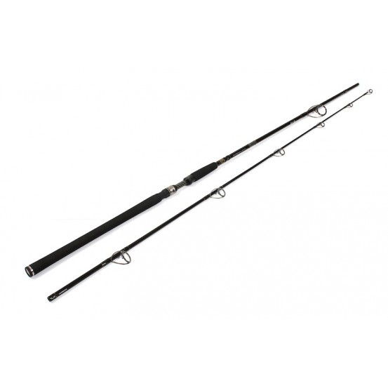 Westin W3 Hucho 2nd - 265cm - 50/190g - 2 Sections