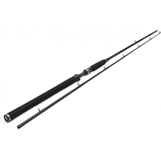 Westin W3 Jerkbait-T 2nd - 2 Sections