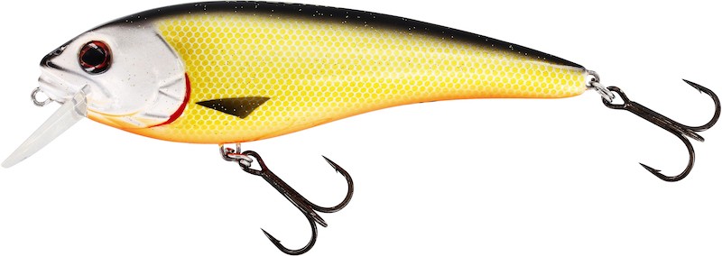 Westin RawBite Crankbait 15cm 61g - Photo 20/23