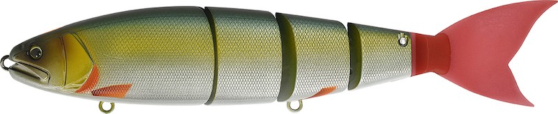 Madness Balam 245 - Picture 20 of 28