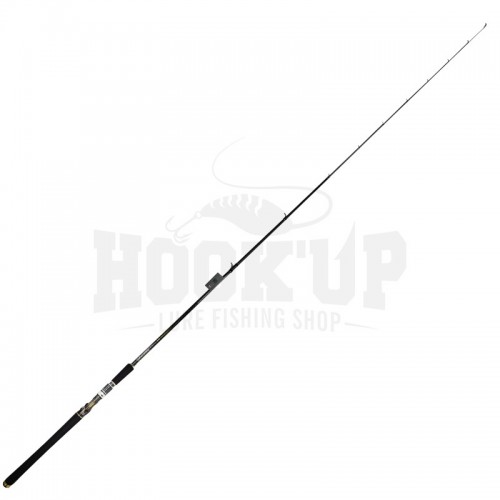 76XH - 230cm - 10/60g
